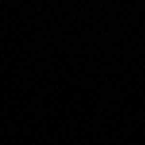 Meet your Posher, Savannah